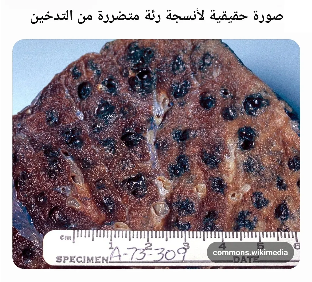 صورة من إجابة